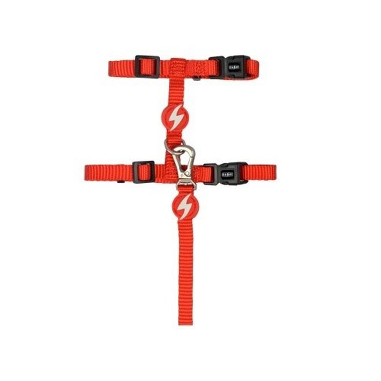 Dashi arnés con correa rojo para gatos