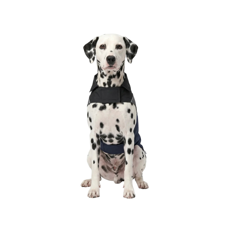 Gotoo Impermeable Reflectante Gris Azulado para perros, , large Imagen numero 7