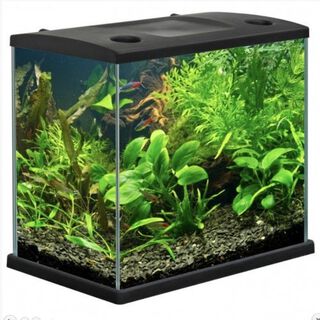 Akkua Pro 35 Kit de Acuario con luz led