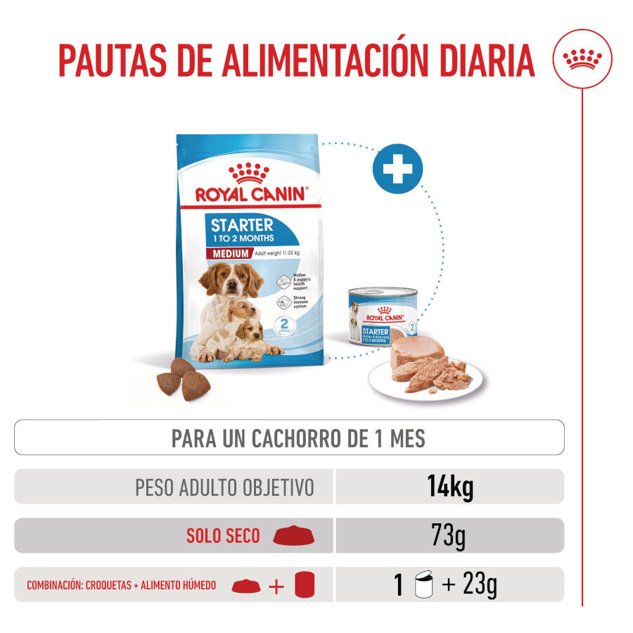 Royal Canin Medium Starter Mother&amp;Baby pienso para perros thumbnail