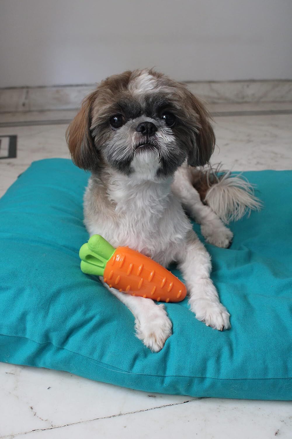 FOFOS | Juguete Interactivo (Flotante) Zanahoria S  - Para Perro, , large Imagen numero 4