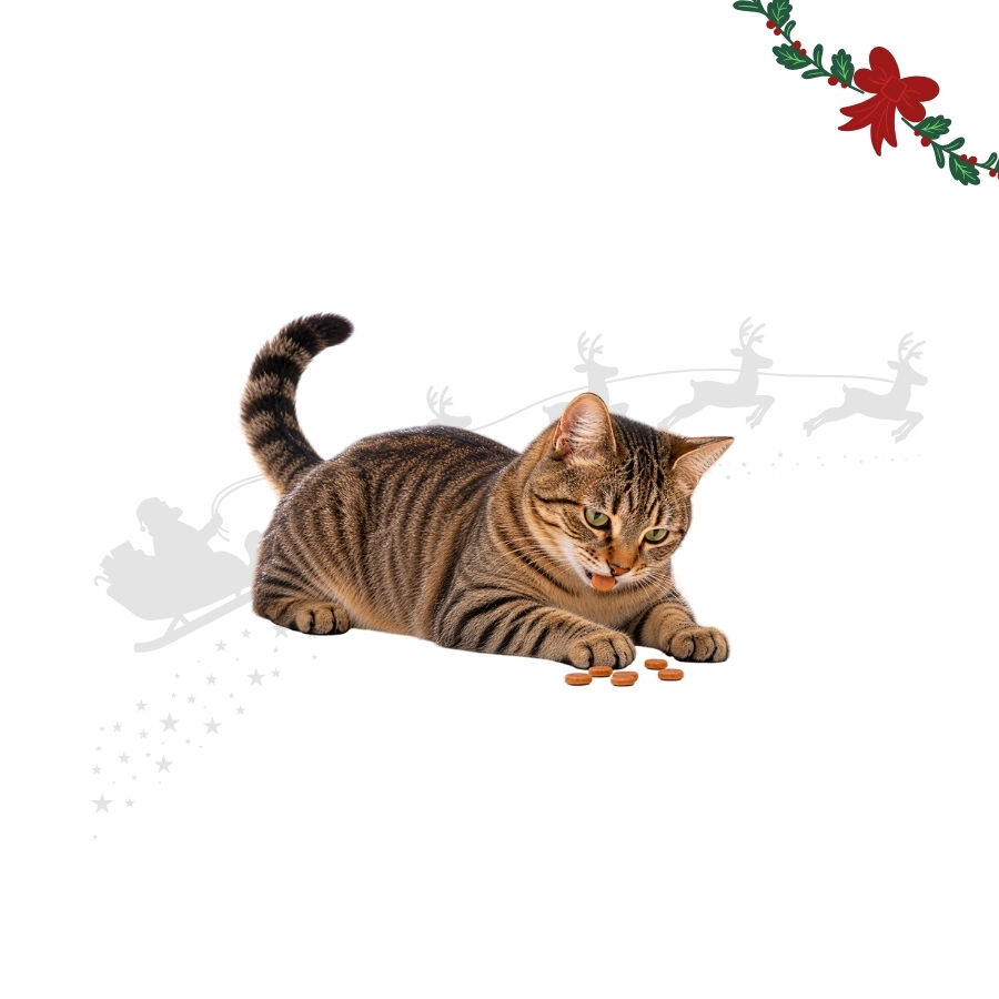 1 bolsita Wonder Christmas Chips Pollo Snacks para gatos, , large Imagen numero 1