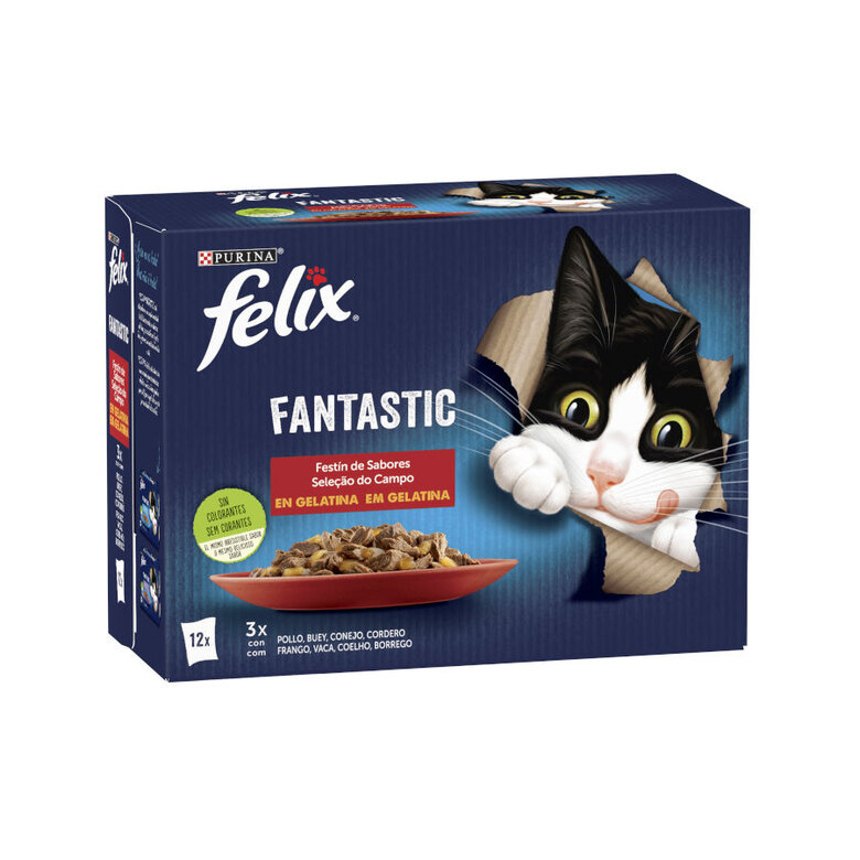 Felix Fantastic Carne en Gelatina sobre  - Multipack, , large image number null