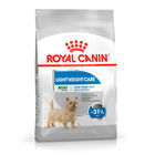 Royal Canin Mini Light Weight Care pienso para perros, , large image number null