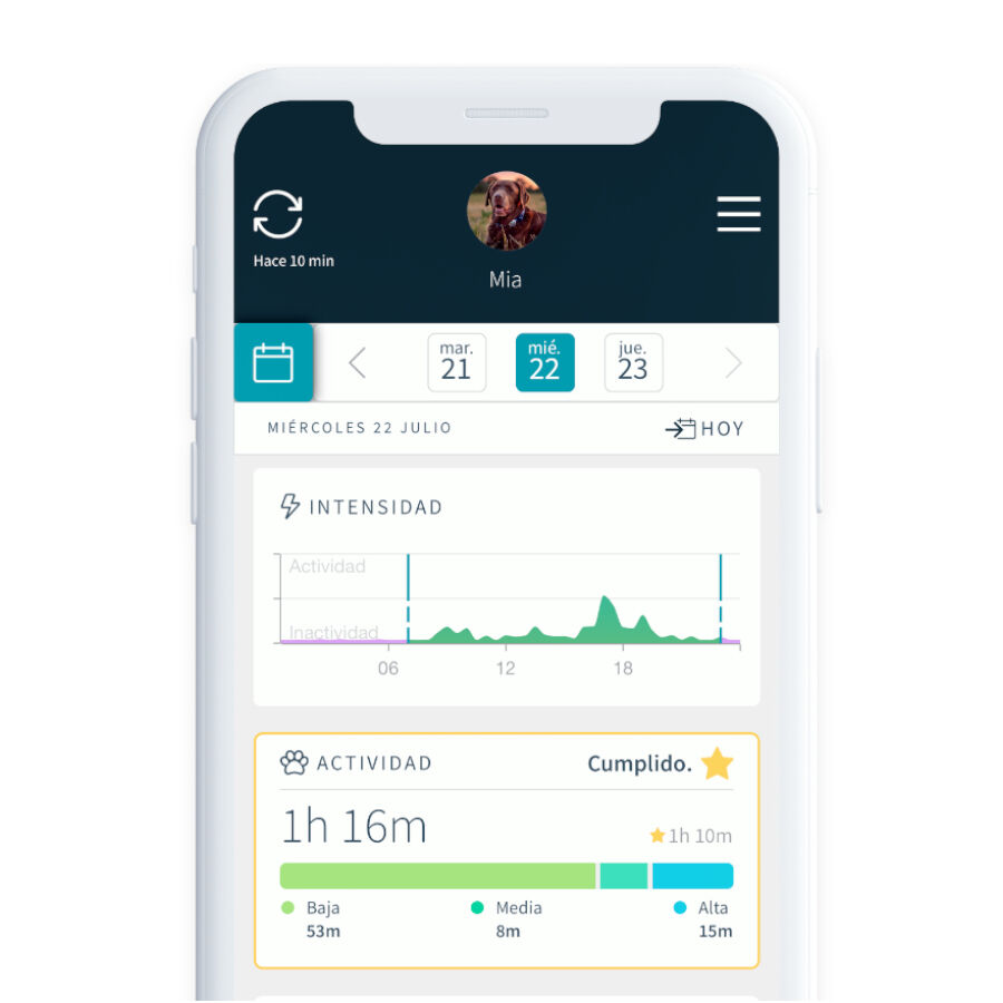 Sure Petcare Animo monitor de Conducta para perros, , large Imagen numero 8