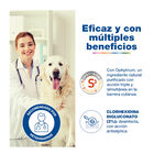 Douxo S3 Pyo Espuma Desinfectante para perros y gatos, , large image number null