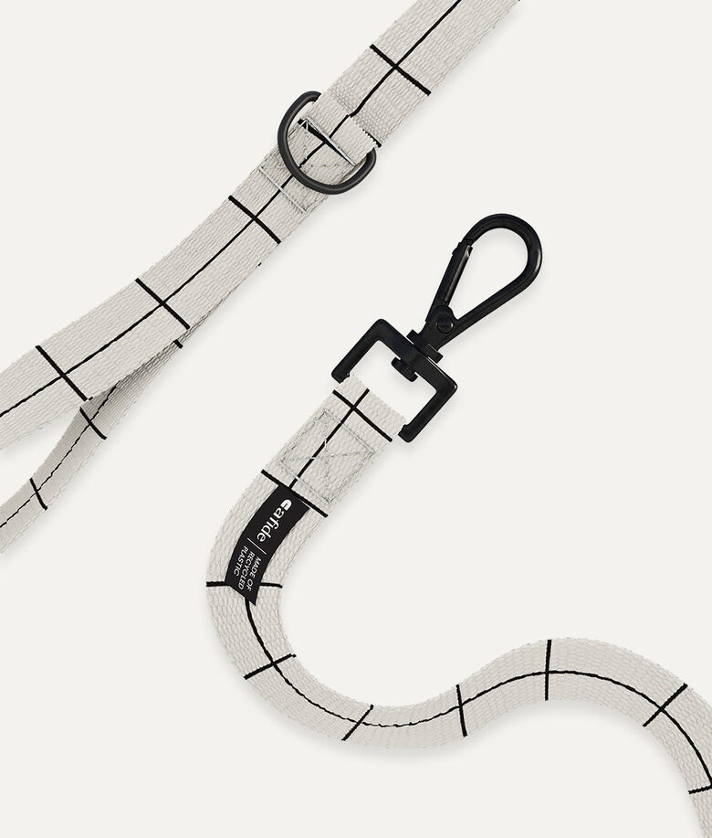 CAFIDE Correa PET Reciclado Juno thumbnail