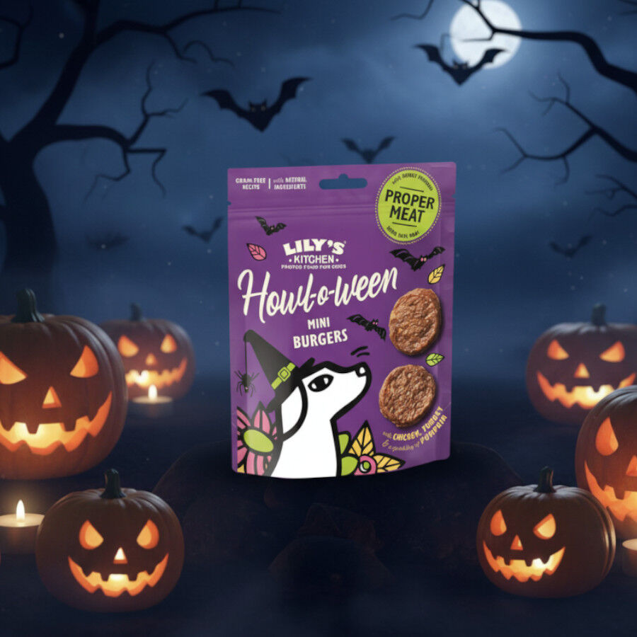 Lily's Kitchen Mini Hamburguesas Pollo Halloween para perros, , large Imagen numero 2