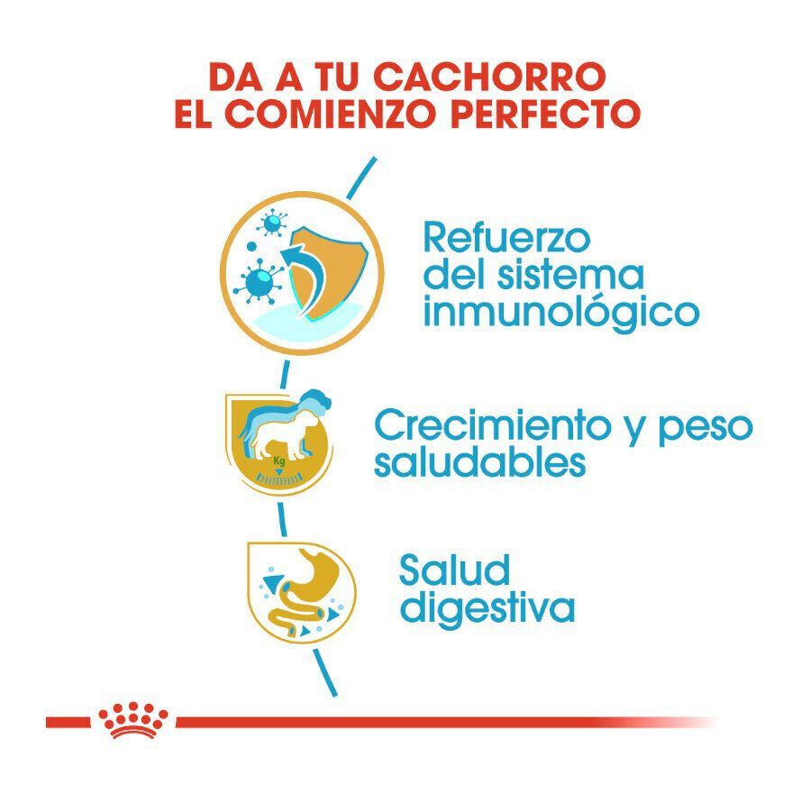 Royal Canin Puppy Labrador Retriever pienso para perros thumbnail