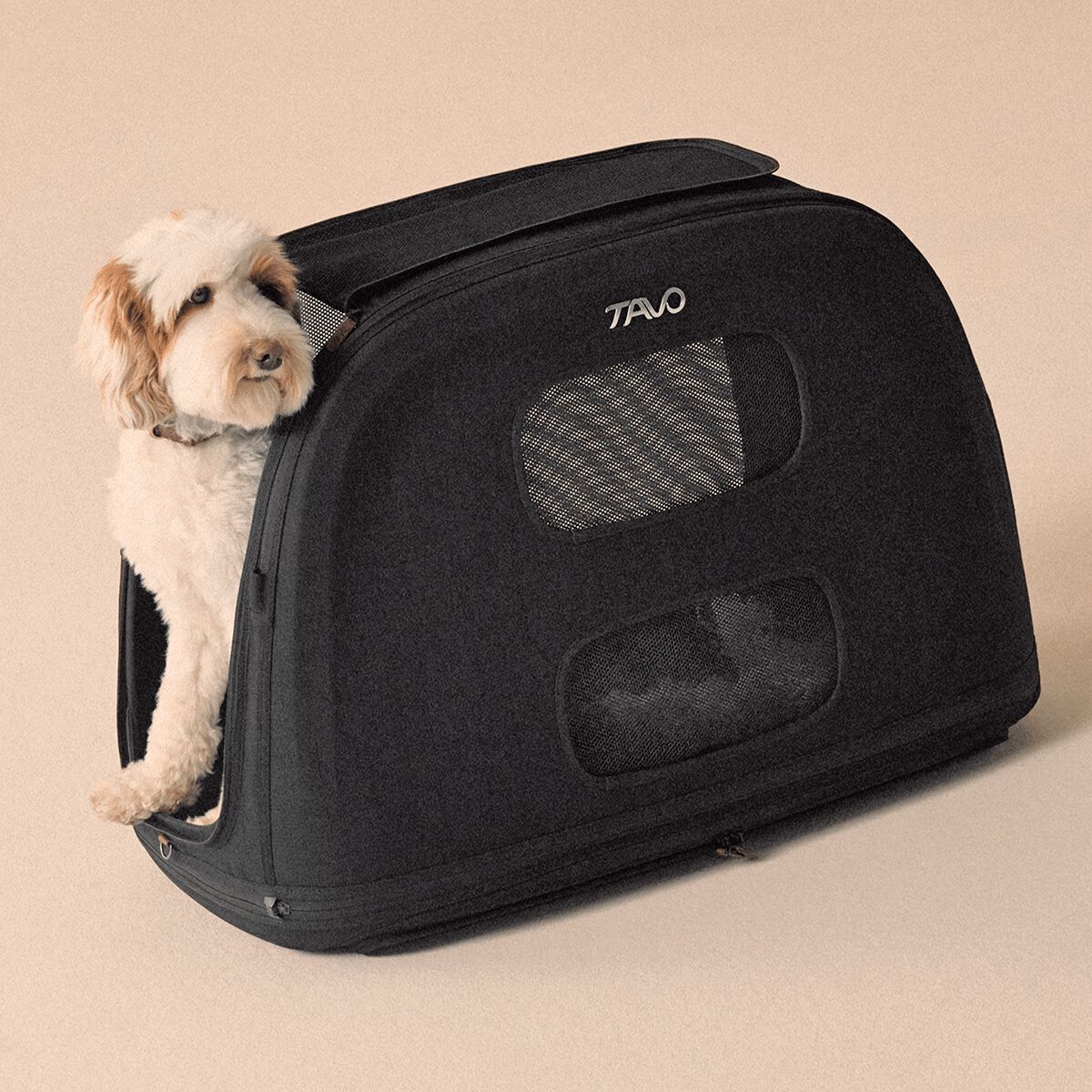 TAVO Crispin Transport&iacute;n para Perros y Gatos Onyx Large, , large Imagen numero 10