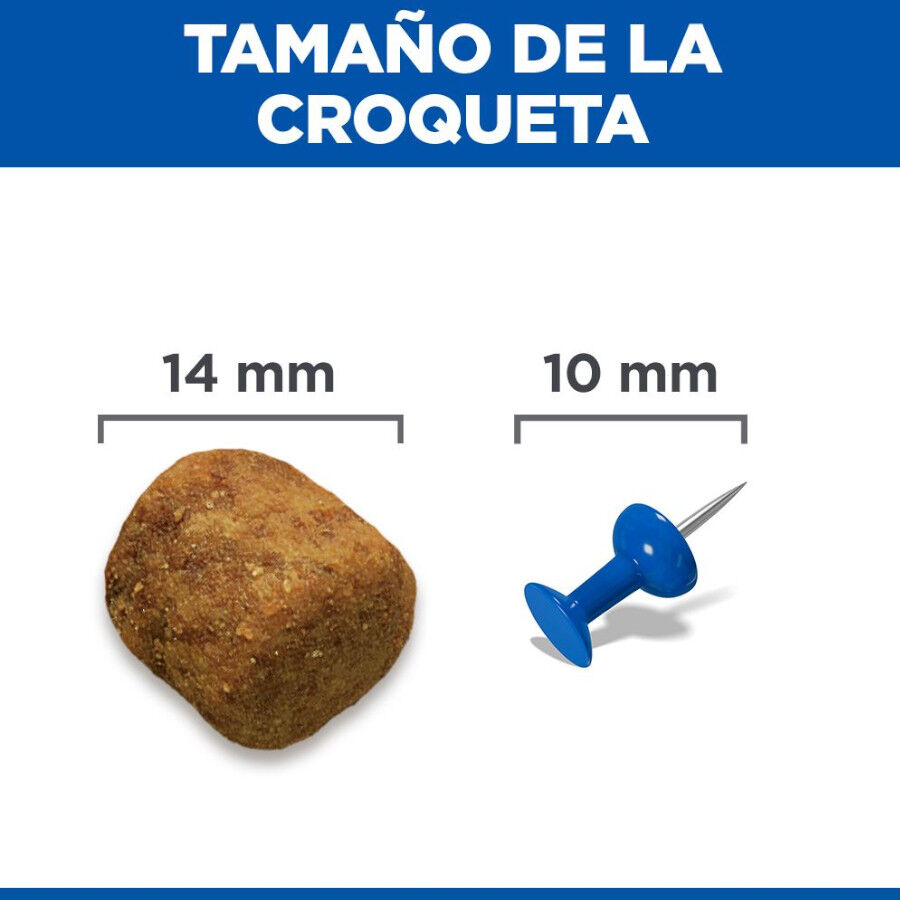 2 x 14 kg Hill's Science Plan Adult Large Cordero pienso para perros &iexcl;Pack ahorro!, , large Imagen numero 9