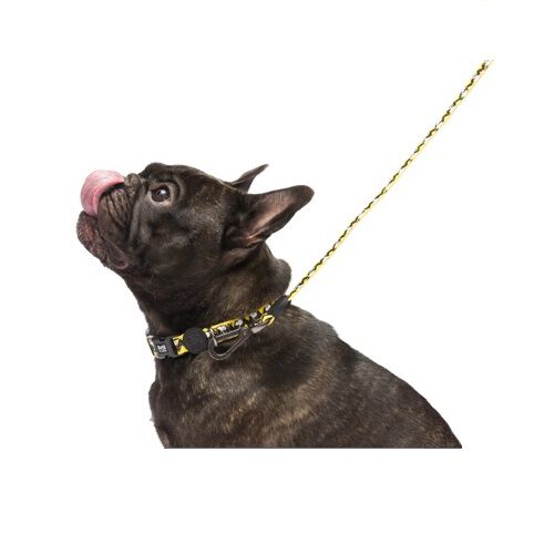 Correa de poli&eacute;ster para perros Zooz Pets Charlie Brown Yellow, , large Imagen numero 4