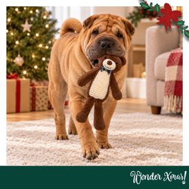 Wonder Christmas Amigo Oso XL Peluche para perros