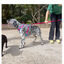 Freedog Cool Pro Tech Correa Refrescante Fucsia para perros, , large indicador imagen numero 6