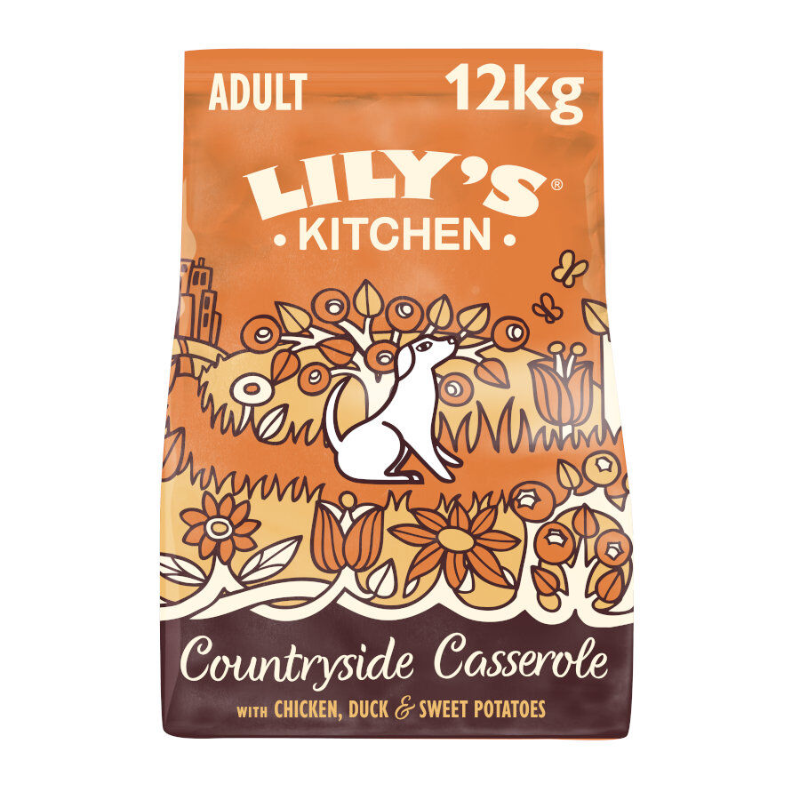 Lily's Kitchen Adult Pollo y Pato pienso para perros