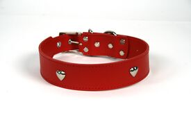 LGMCAN Collar de Piel Rojo con Corazones para perros
