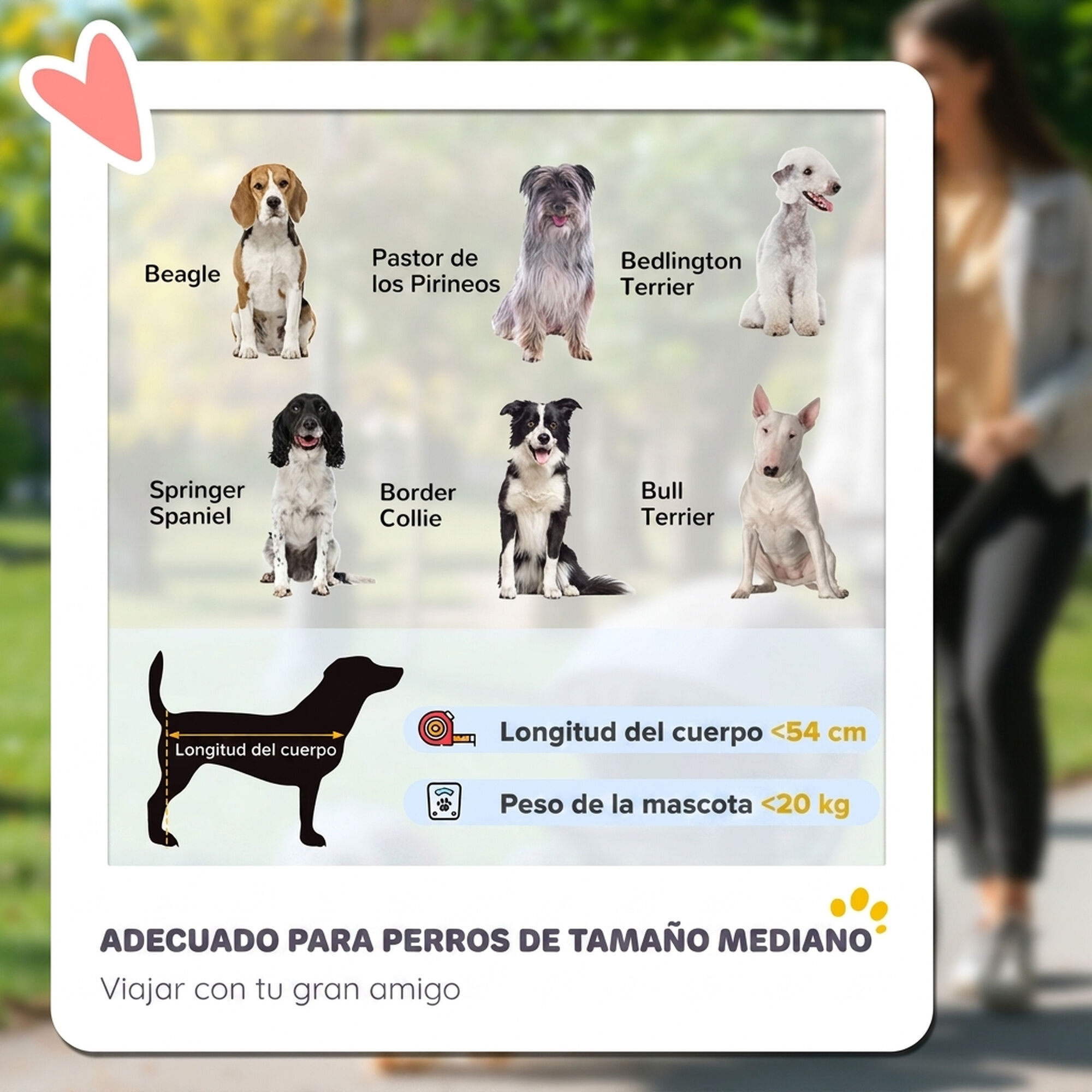 PawHut Carrito para Perro Gris, , large Imagen numero 4