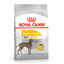 12 kg Royal Canin Dermacomfort Maxi pienso para perros, , large indicador imagen numero 1