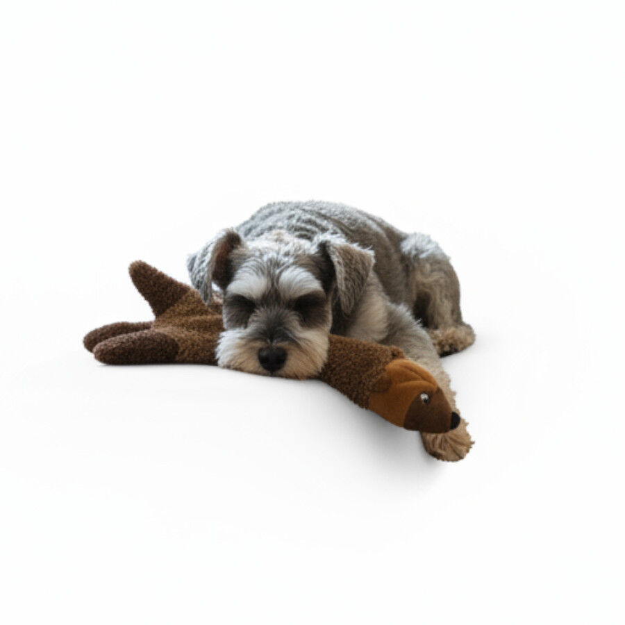 LOVE THE EARTH Peluche Mink con Sonido para perros, , large Imagen numero 3