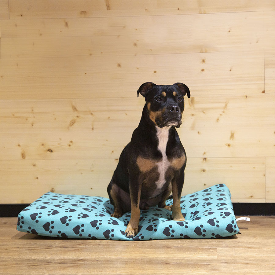 Dogzzz Corazones y Huellas Funda de Colch&oacute;n para perros, , large Imagen numero 3