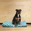 Dogzzz Corazones y Huellas Funda de Colchón para perros, , large indicador imagen numero 3