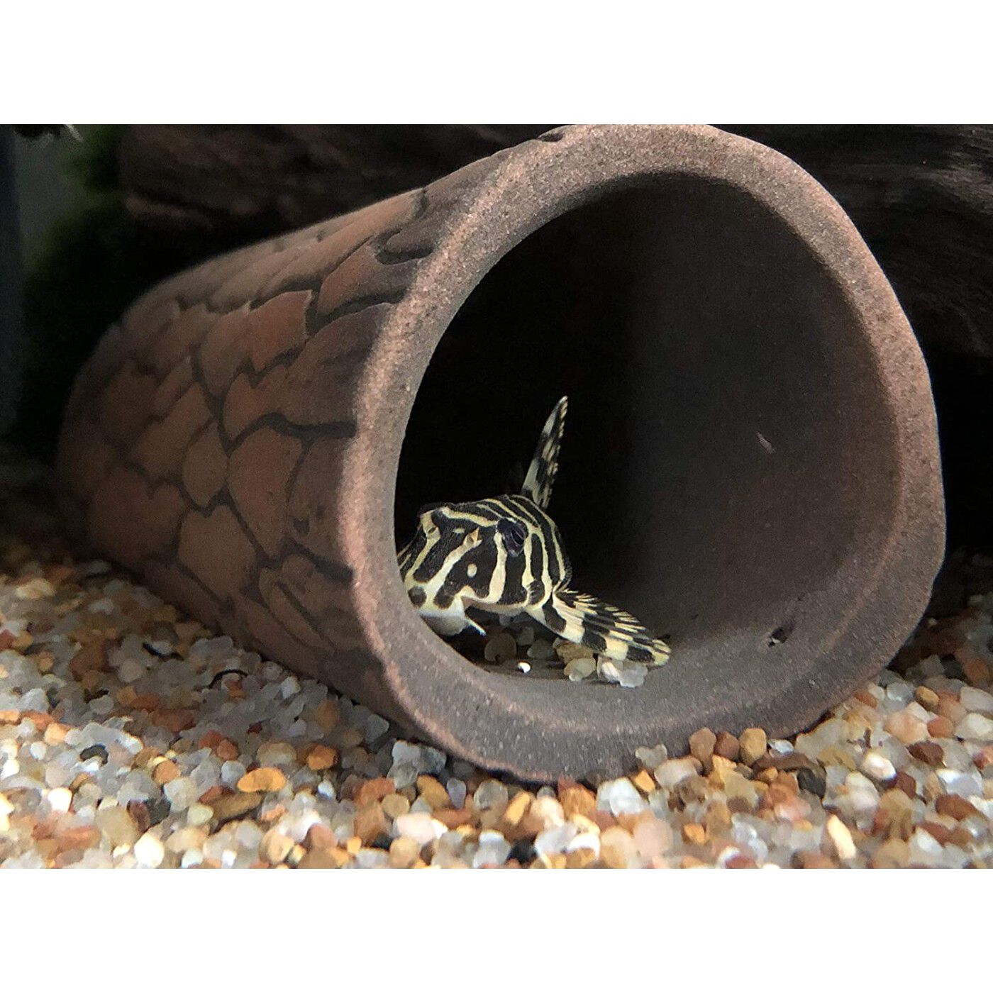 TM Plecoceramics cueva Natural Pequeña para acuarios thumbnail