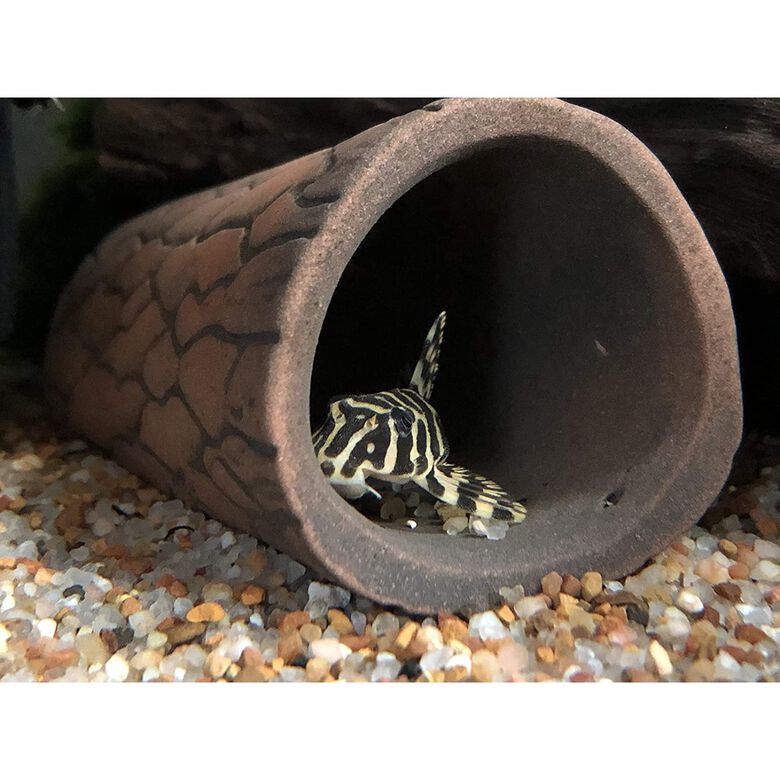 TM Plecoceramics cueva Natural Pequeña para acuarios thumbnail