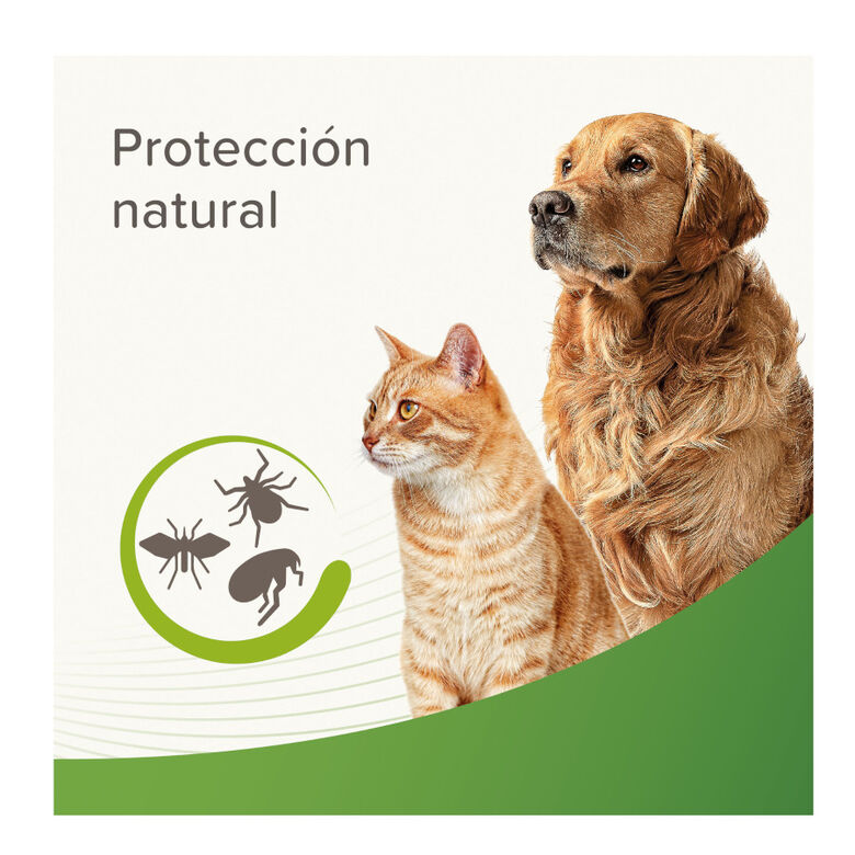 Beaphar Loción Repelente Perro y Gato thumbnail
