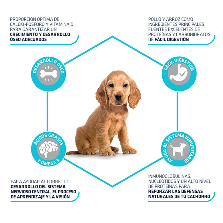 pienso_perros_affinity_advance_puppy_medium_beneficios_ADV507319_M.jpg image number null