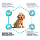 pienso_perros_affinity_advance_puppy_medium_beneficios_ADV507319_M.jpg image number null