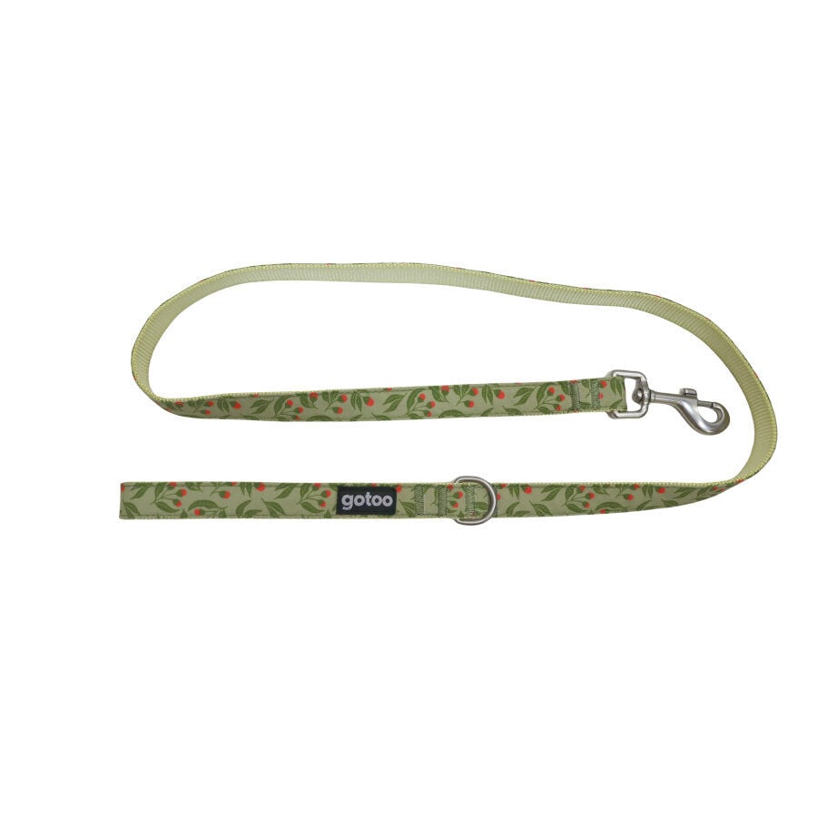 Gotoo Correa estampada floral para perros, , large Imagen numero 1