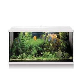 ICA Kit Aqua LED Pro 130 Blanco con filtro interior para acuarios