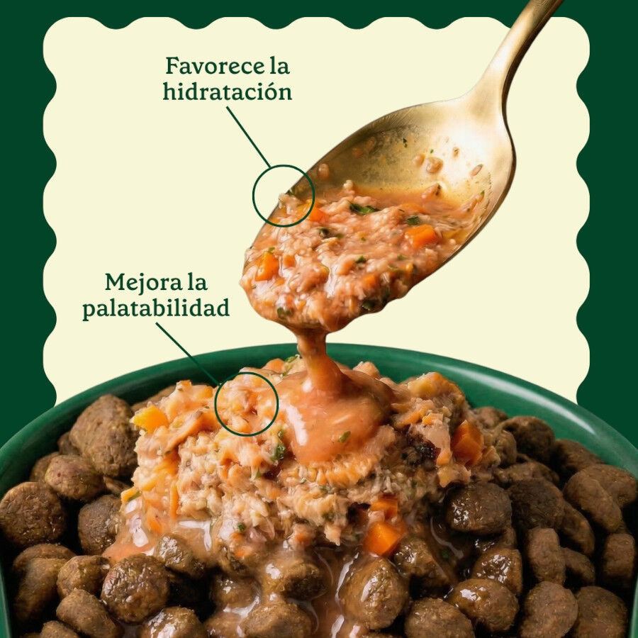 85 g Wild Balance Toppers Salm&oacute;n salsa para perros, , large Imagen numero 4