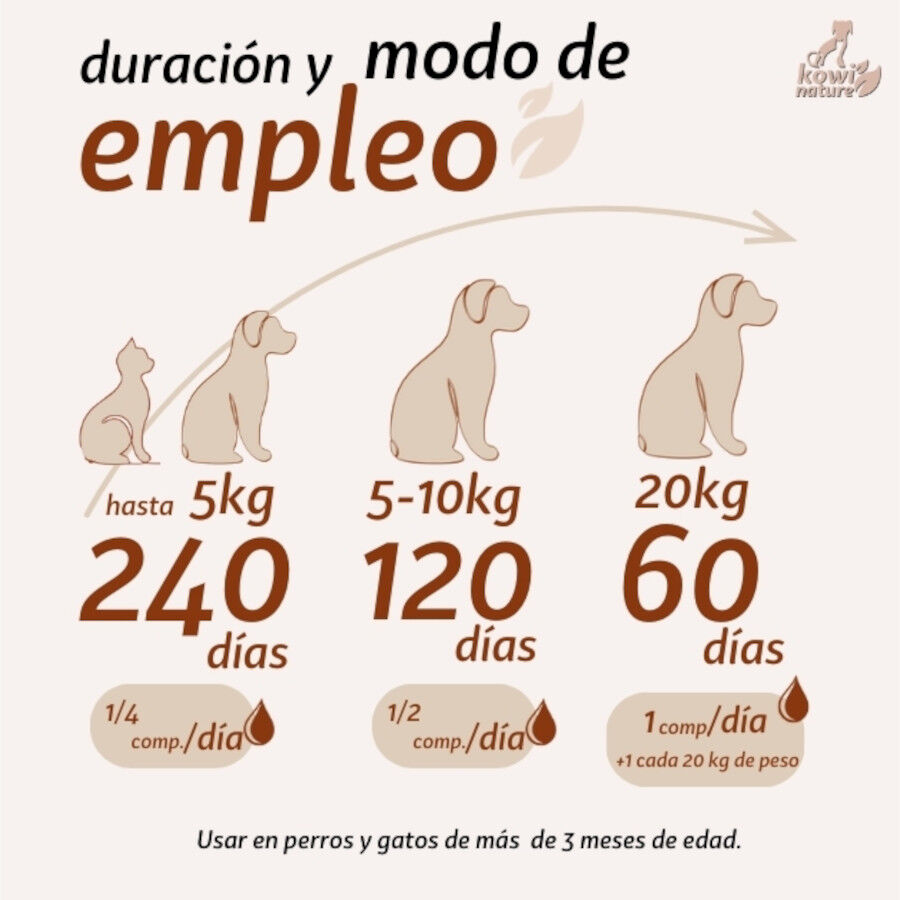 KOWI GASTRIC, 60 COMPRIMIDOS, , large Imagen numero 3