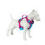 Freedog Cool Pro Tech Fucsia Arnés Refrescante Deportivo para perros, , large indicador imagen numero 10