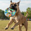 Chuckit! Frisbee de Goma Colorido para perros, , large indicador imagen numero 2