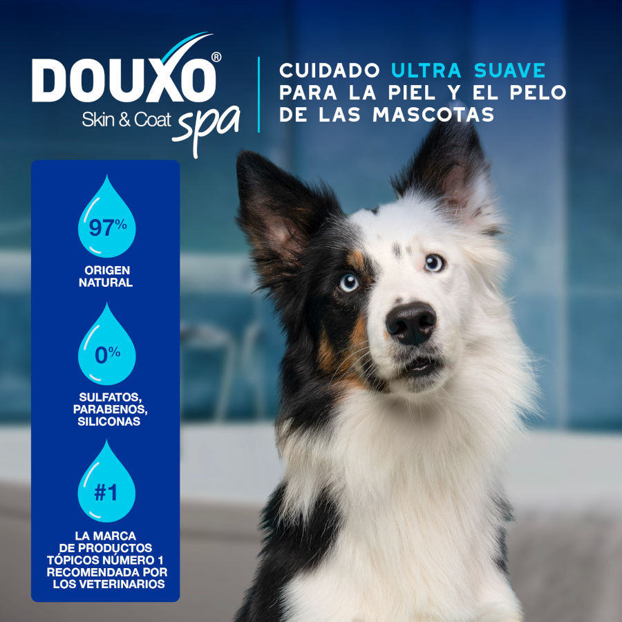 Ceva Douxo Spa Mousse Limpiador Expr&eacute;s para perros, , large Imagen numero 2