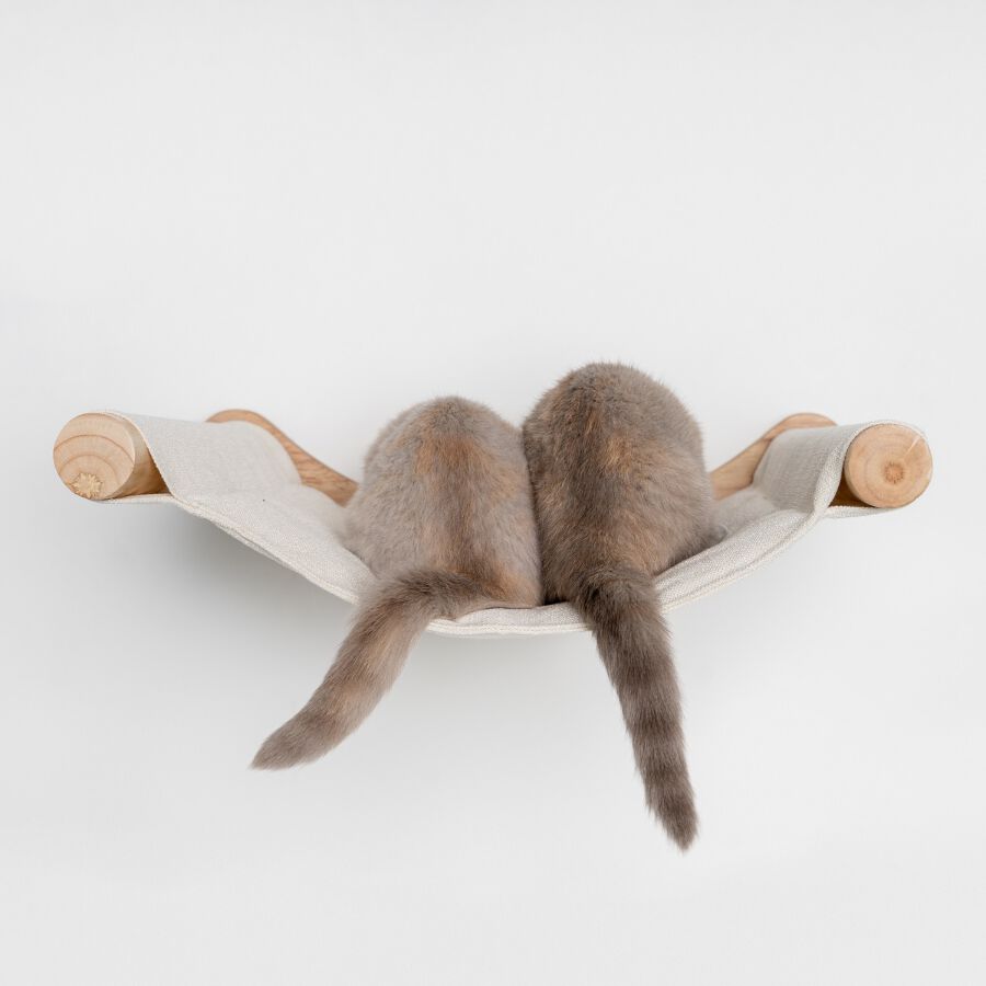 Muro Escalada Para Gatos - Hamaca de Luxe XXL (Beige), , large Imagen numero 3