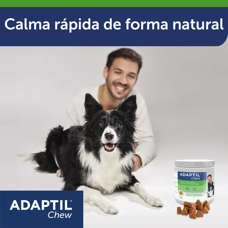 Adaptil Relajante en comprimidos para el estrés ocasional en el perro, , large image number null