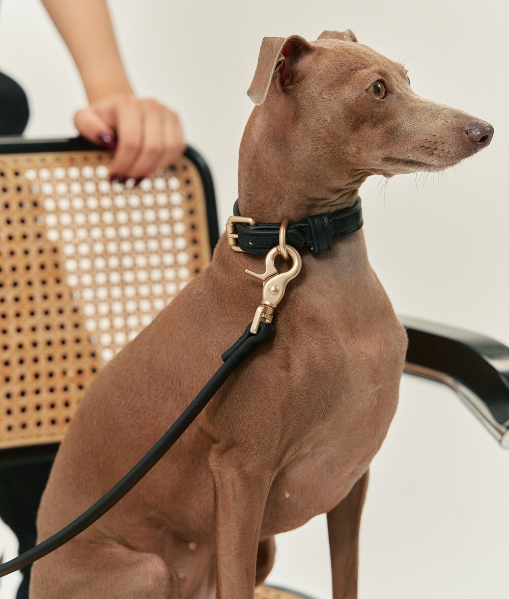 CAFIDE Collar Cuero Vegano Jala Negro, , large Imagen numero 2