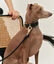 CAFIDE Collar Cuero Vegano Jala Negro, , large indicador imagen numero 2