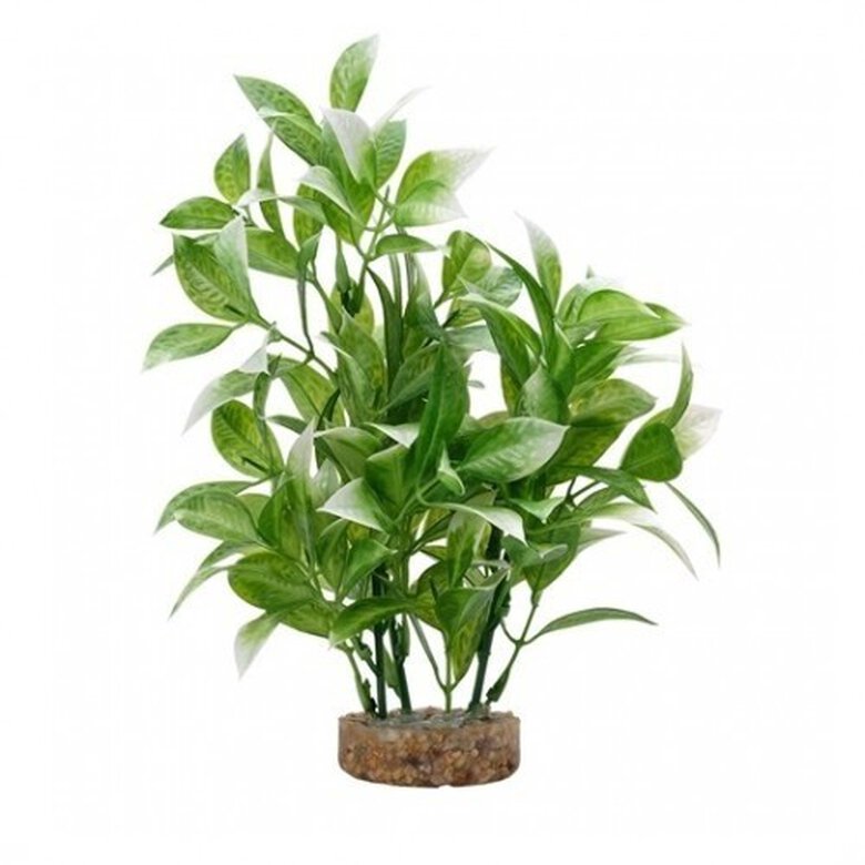 Planta artificial Ludwigia 20 cm color Verde, , large image number null