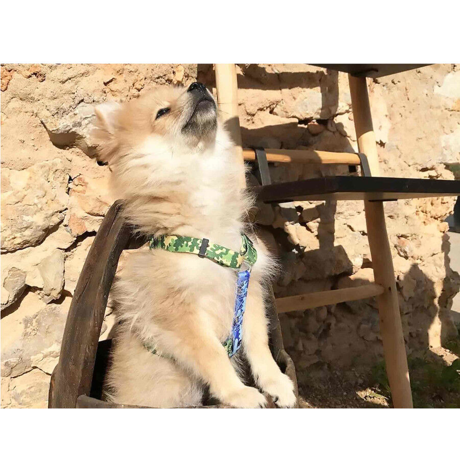 Dukier Camo Cl&aacute;sico Arn&eacute;s Estampado Camuflaje para perros, , large Imagen numero 2