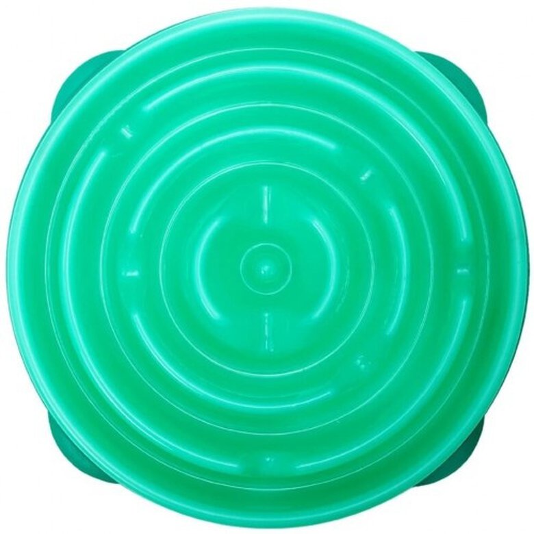 Comedero lento para perros color Verde, , large image number null