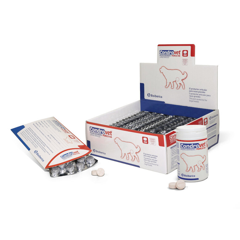 condrovet force ha razas grandes
