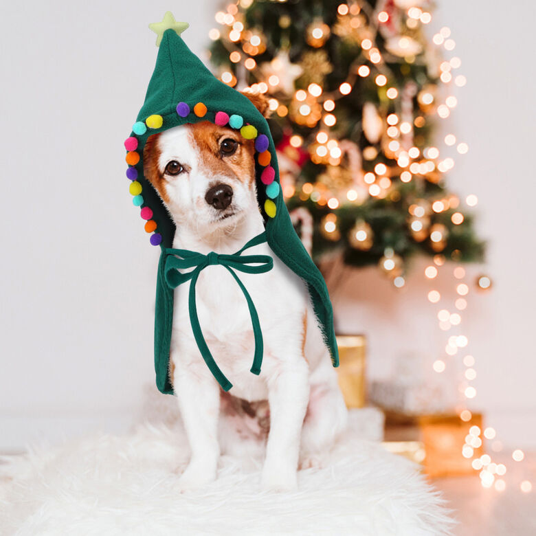 Nobleza Disfraz de Navidad para gatos y perros pequeños thumbnail