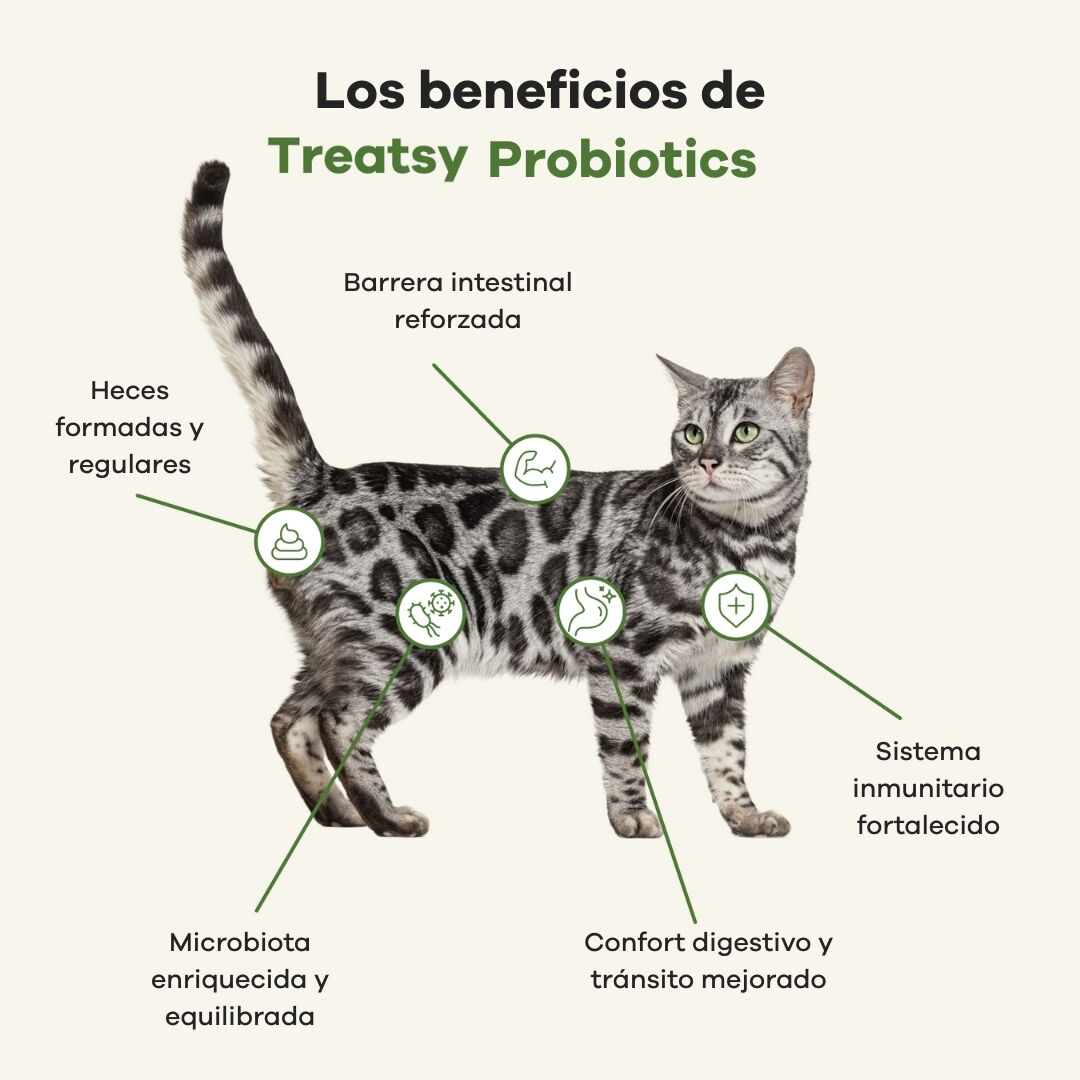 Treatsy Complemento Alimenticio &ndash; Probi&oacute;ticos para Gatos, , large Imagen numero 4