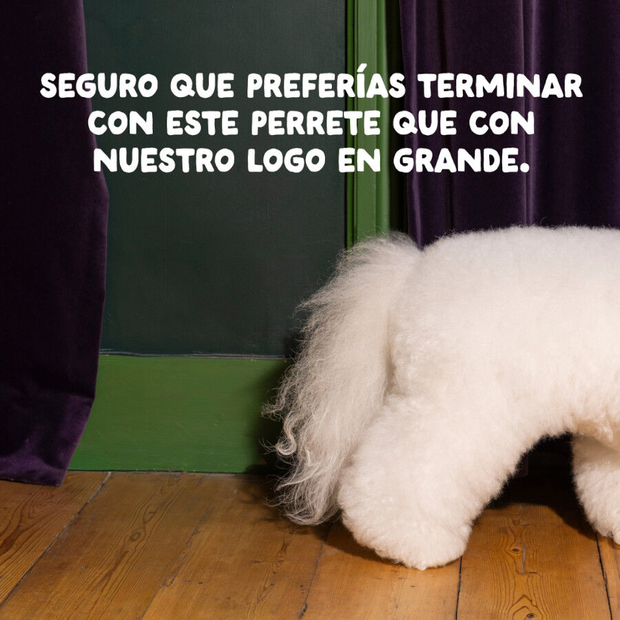 12 kg Edgard & Cooper Adult Venado y Pato pienso para perros, , large Imagen numero 10