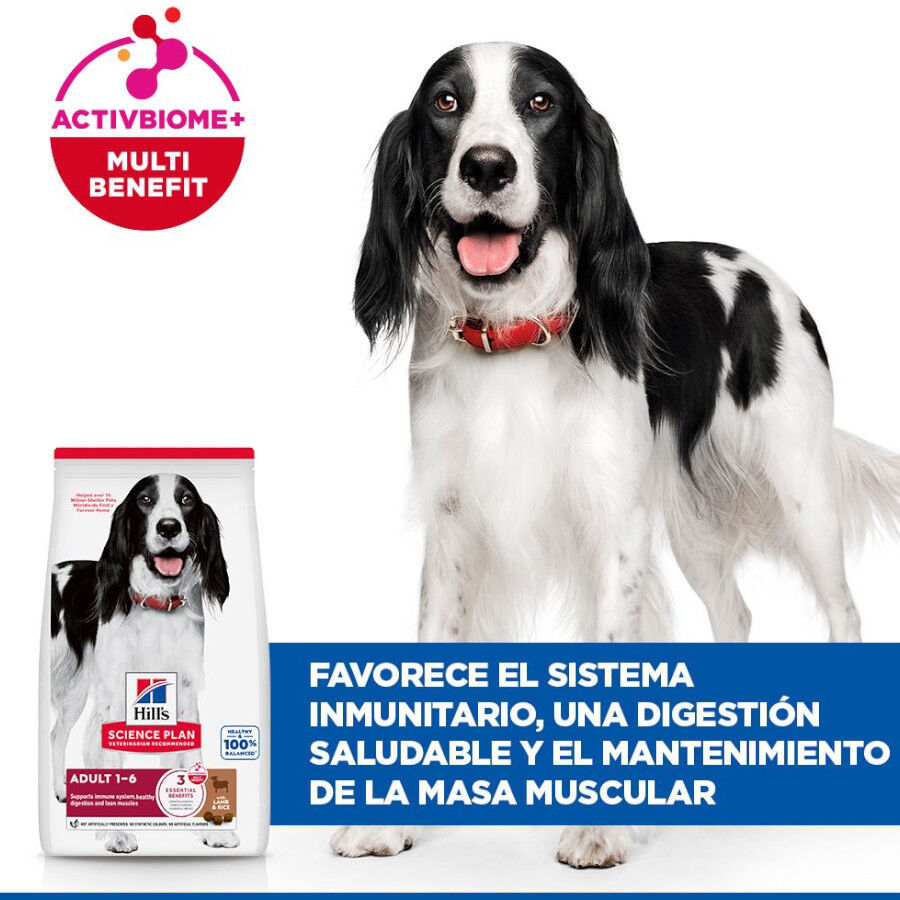 18 kg Hill's Science Plan Adult Medium Cordero y Arroz pienso para perros, , large Imagen numero 4