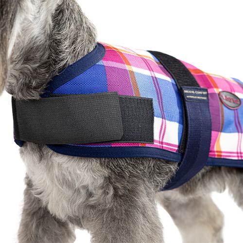 Capa + Trendy Breathe Comfort Cereza CAPA +TRENDY BREATHE COMFORT CEREZA 35CM, , large Imagen numero 2